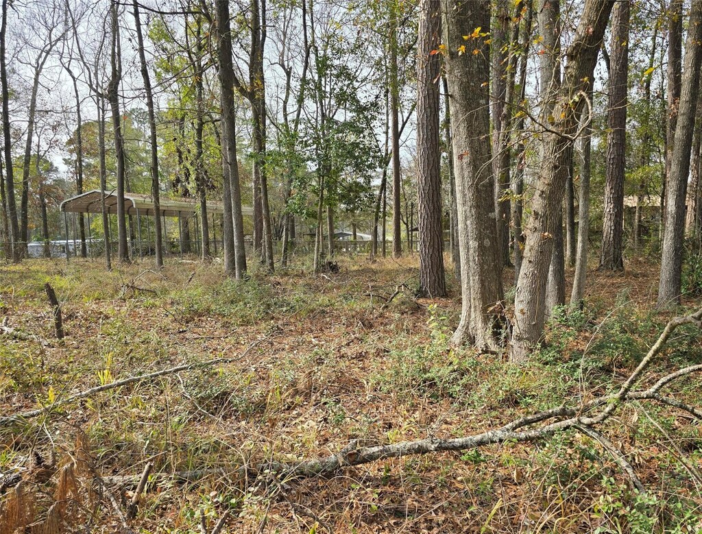 149 Honeysuckle, Livingston, TX 77351