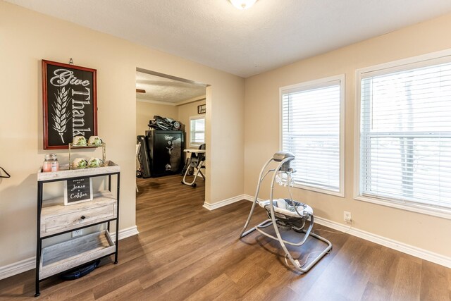 interior space with hardwood / wood-style floors and a textured ceiling