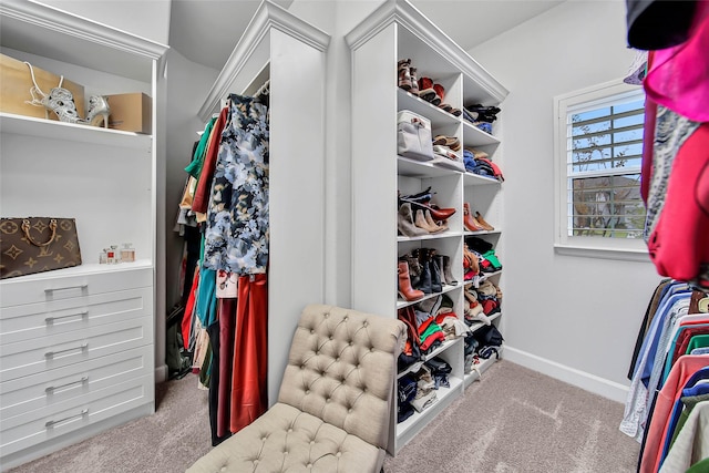 spacious closet featuring carpet