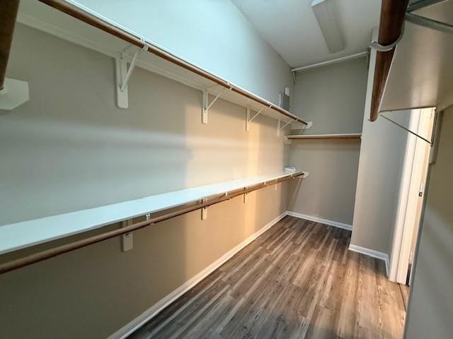 walk in closet with hardwood / wood-style flooring