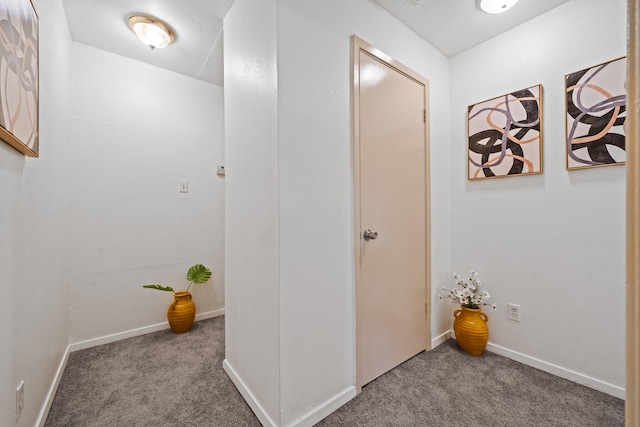 hallway featuring carpet floors