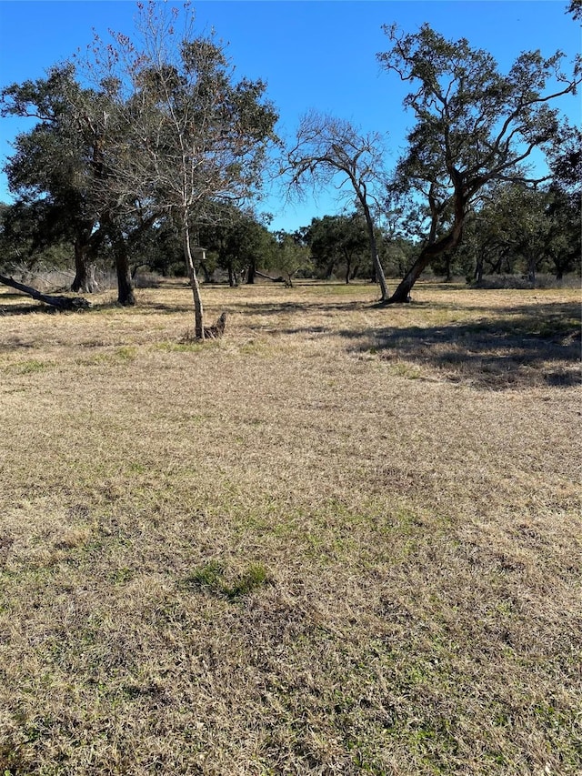 TRACT2 Private Road 648th St, Cedar Lake, TX 77414 - view of nature