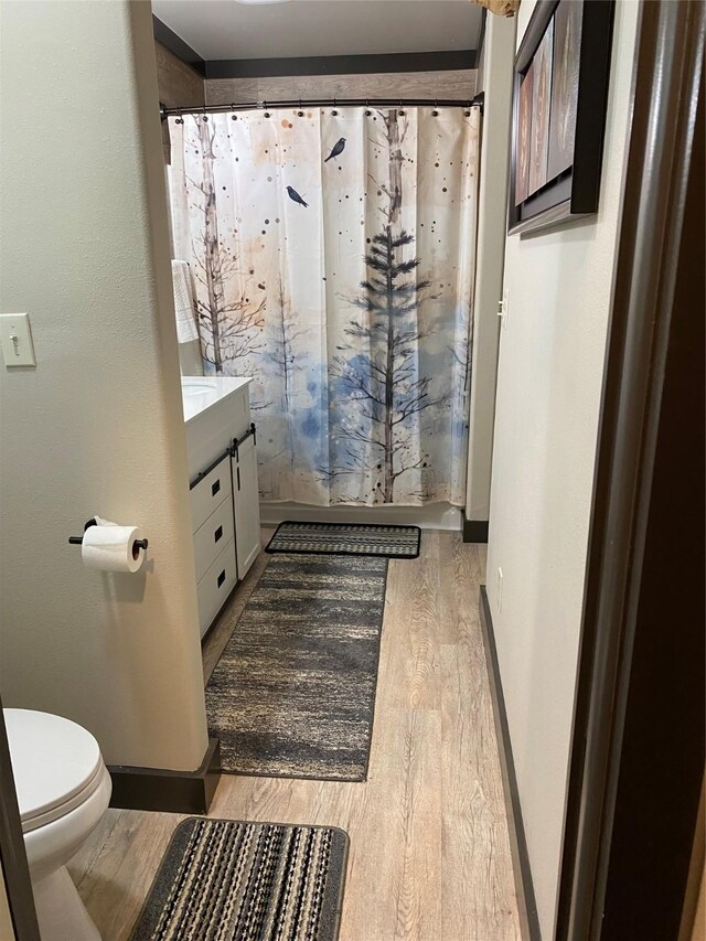 TRACT2 Private Road 648th St, Cedar Lake, TX 77414 - bathroom with baseboards, wood finished floors, toilet, vanity, and a shower with curtain