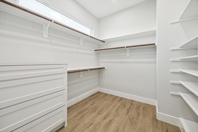 walk in closet featuring light wood-type flooring