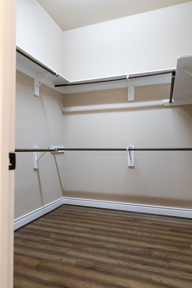 walk in closet featuring dark wood-type flooring