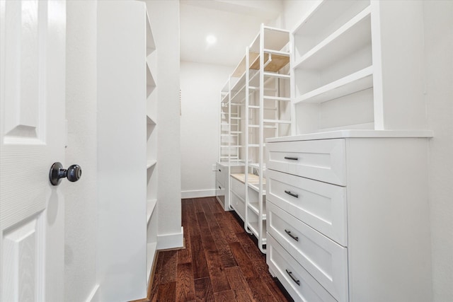 spacious closet with dark hardwood / wood-style floors