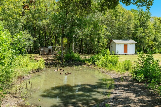 view of yard with a water view and a storage shed