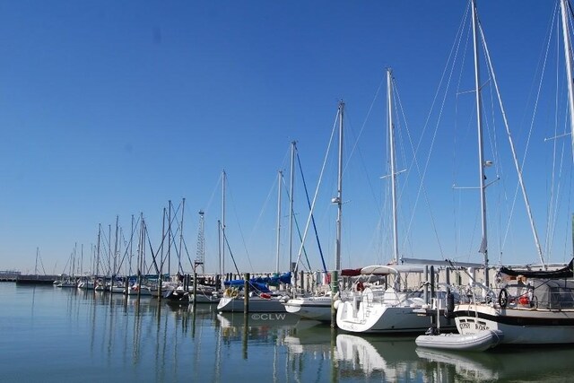 dock area with a water view