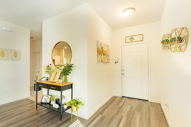 entryway featuring wood-type flooring