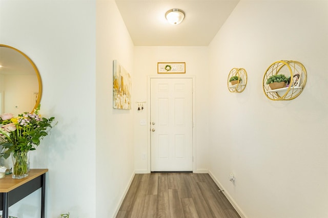 doorway featuring wood-type flooring