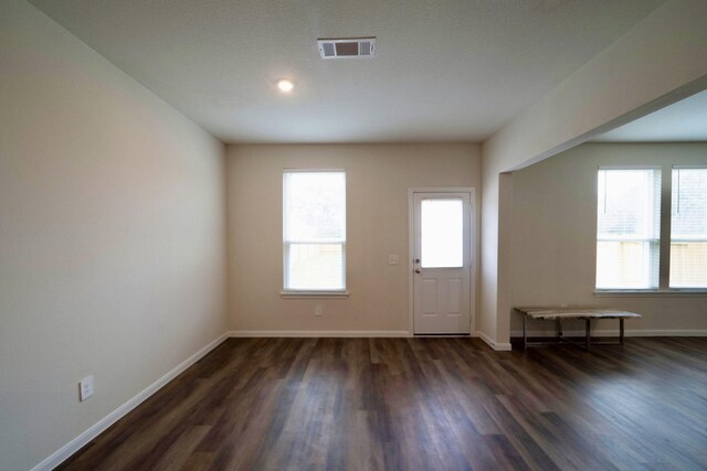 foyer entrance featuring dark wood-type flooring