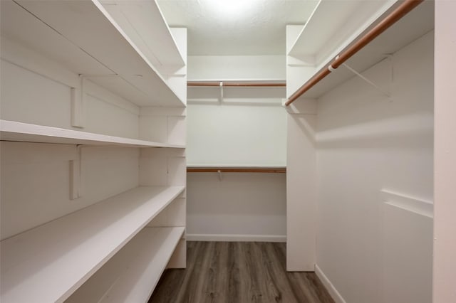 spacious closet featuring dark wood-type flooring