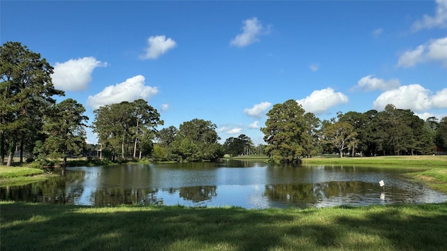 view of water feature