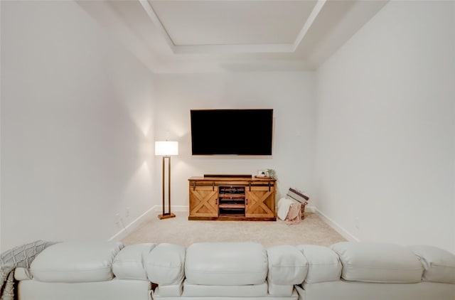 carpeted living room featuring a raised ceiling