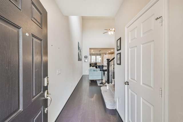 foyer with dark hardwood / wood-style floors and ceiling fan