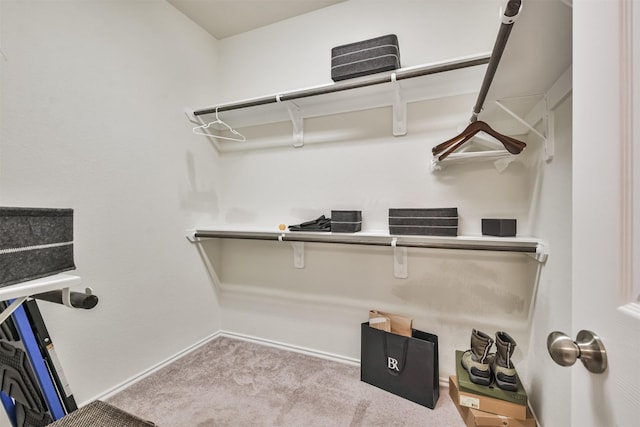 walk in closet with light colored carpet