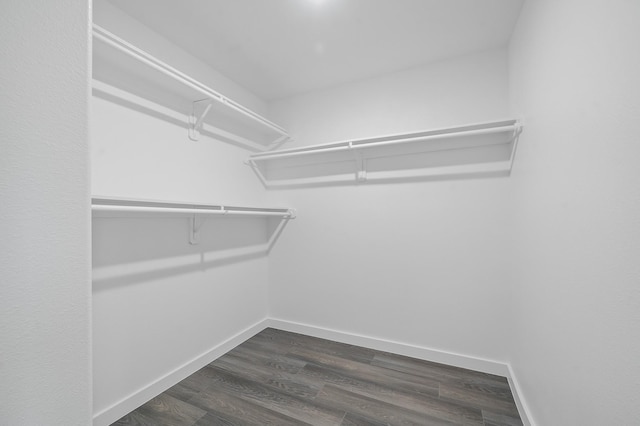 walk in closet featuring dark wood-type flooring