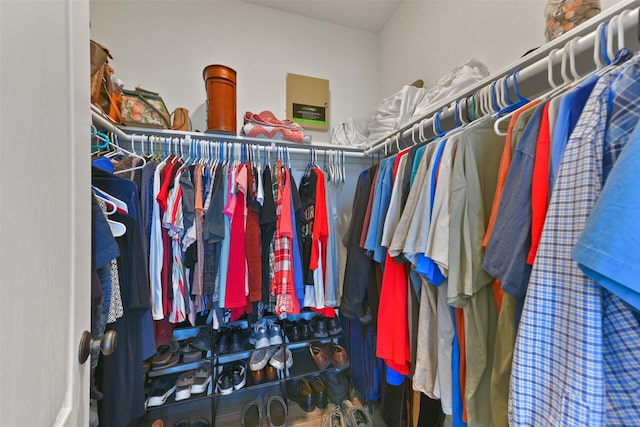 view of spacious closet