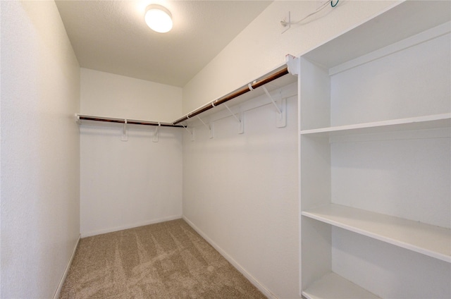 walk in closet featuring carpet