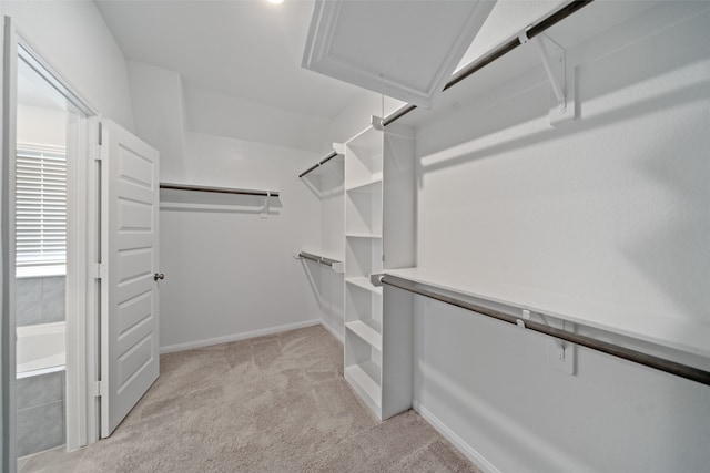 spacious closet featuring light carpet