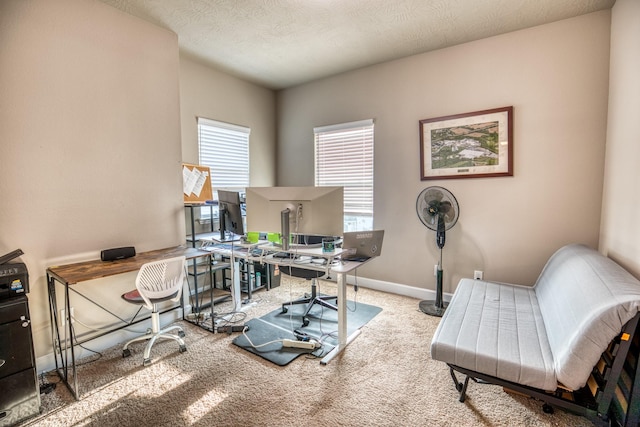 office with carpet flooring, a textured ceiling, and a wealth of natural light