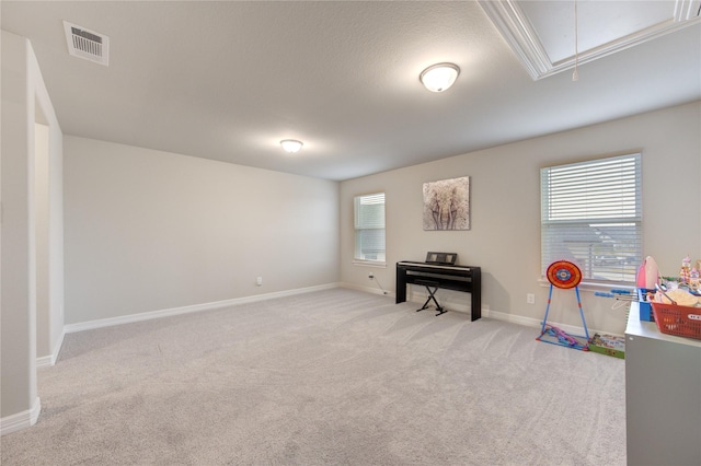 misc room with a healthy amount of sunlight and light colored carpet