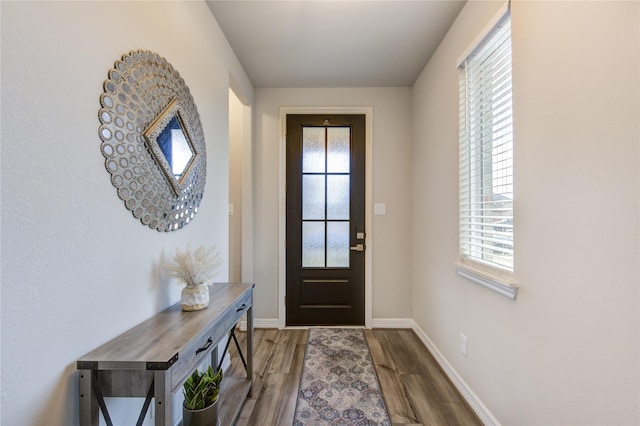 entryway with hardwood / wood-style flooring