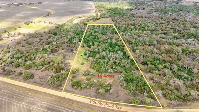 13822 County Road 394, El Campo TX, 77437 land for sale