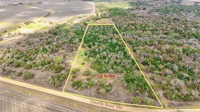 13822 County Road 394, El Campo, TX 77437 - photo 12