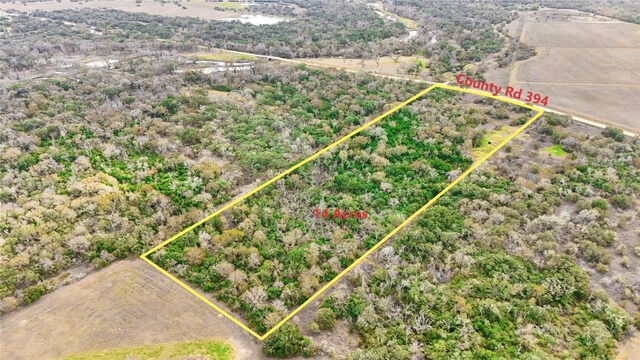 13822 County Road 394, El Campo, TX 77437 - photo 13