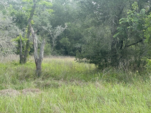 13822 County Road 394, El Campo, TX 77437 - photo 4