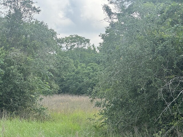 13822 County Road 394, El Campo, TX 77437 - photo 5