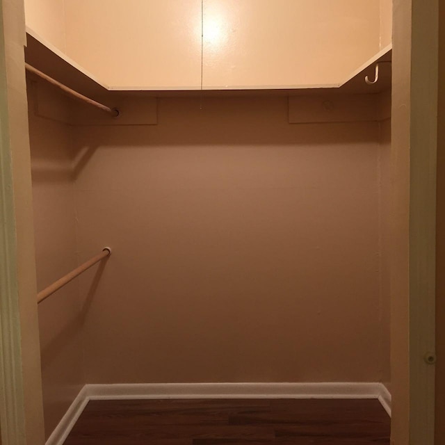 spacious closet featuring dark hardwood / wood-style floors