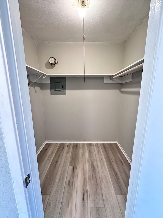 walk in closet featuring electric panel and light hardwood / wood-style floors