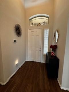 foyer entrance featuring dark wood-type flooring