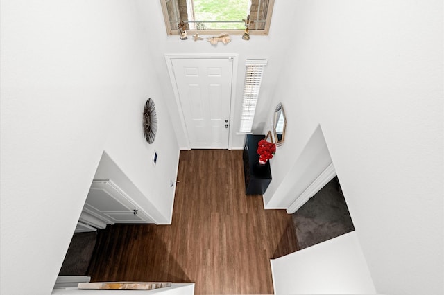 entryway with dark wood-type flooring