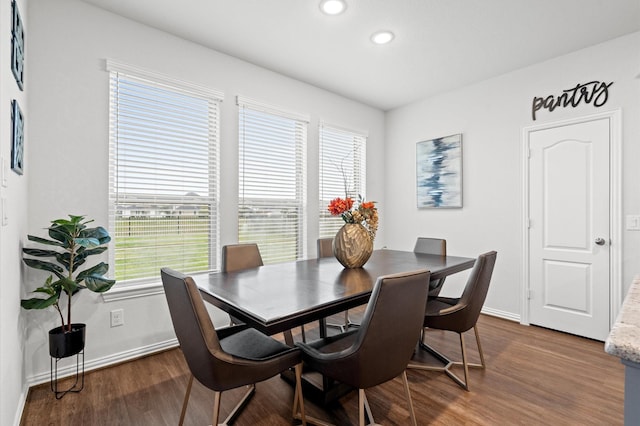 dining space featuring hardwood / wood-style flooring