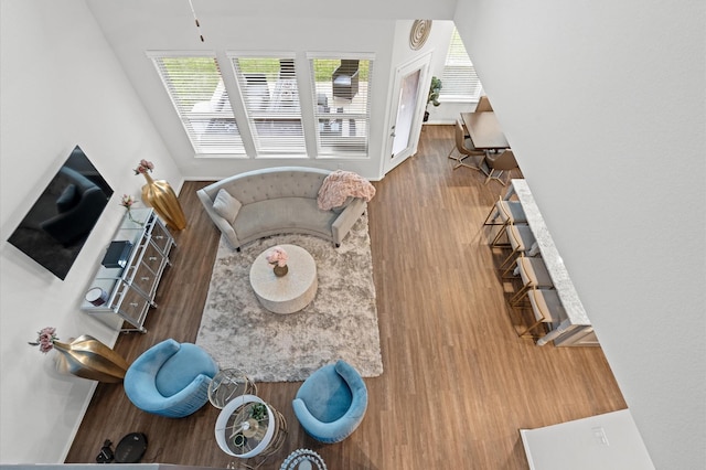 living room featuring wood-type flooring