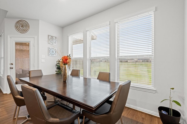 dining area featuring hardwood / wood-style flooring