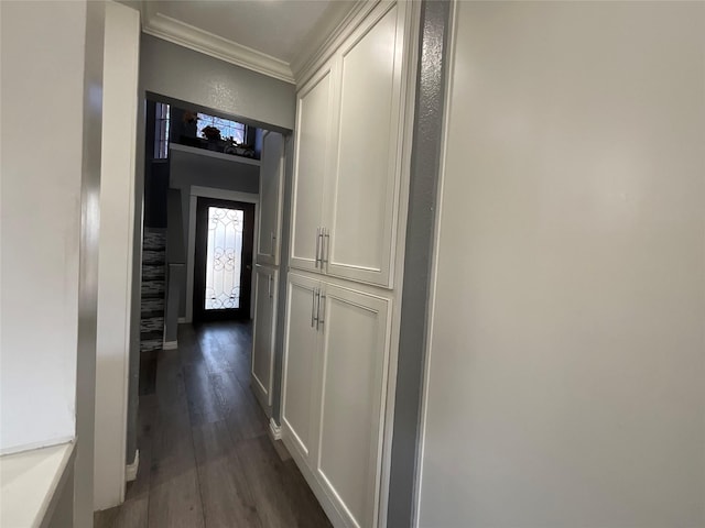 hallway with dark wood-type flooring and ornamental molding