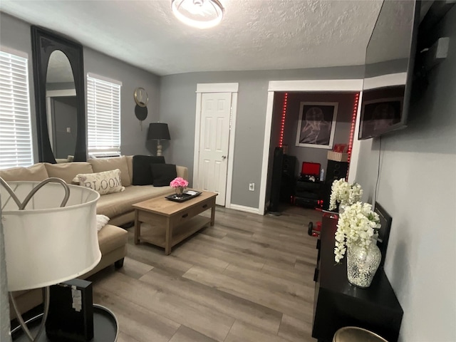 living room featuring hardwood / wood-style flooring and a textured ceiling