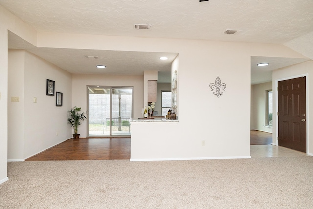 interior space featuring carpet and a textured ceiling