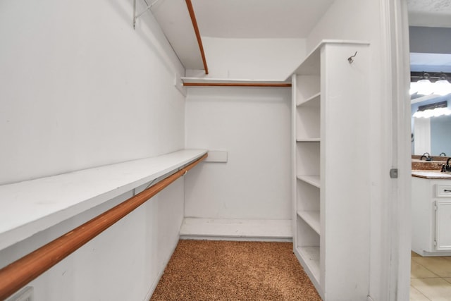 spacious closet featuring light colored carpet