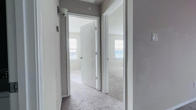 hallway featuring light colored carpet