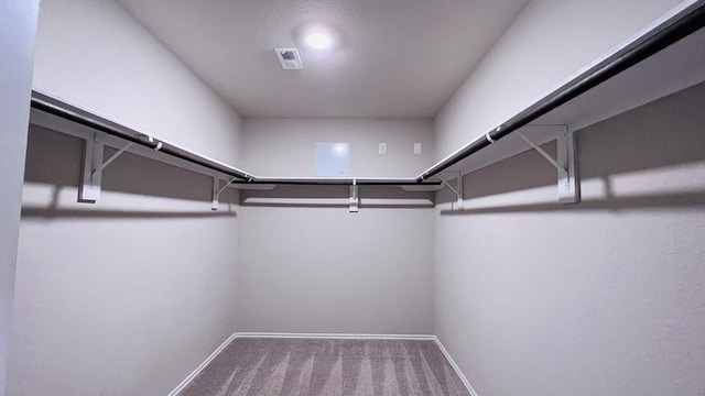 spacious closet with carpet floors