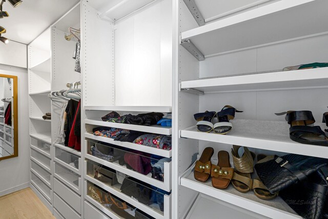 spacious closet with light wood-type flooring