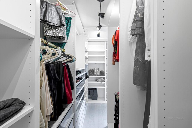 spacious closet with hardwood / wood-style flooring