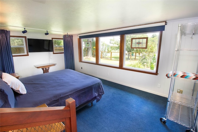 bedroom with carpet flooring