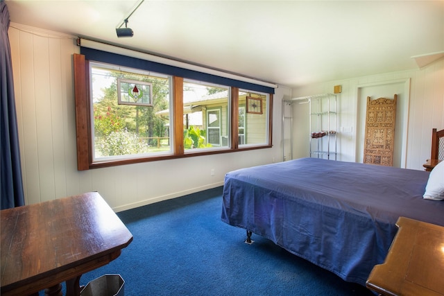 carpeted bedroom featuring rail lighting