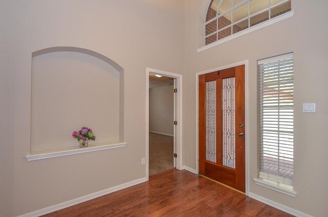 foyer with hardwood / wood-style flooring and a towering ceiling